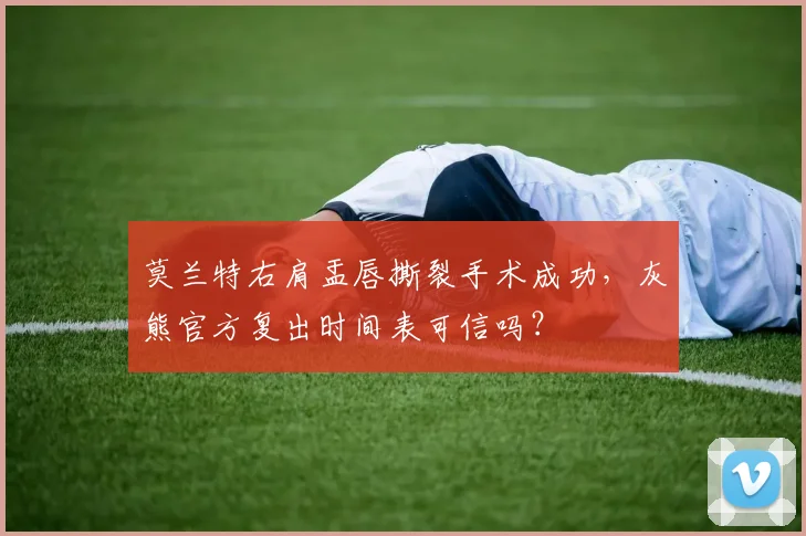 莫兰特右肩盂唇撕裂手术成功，灰熊官方复出时间表可信吗？