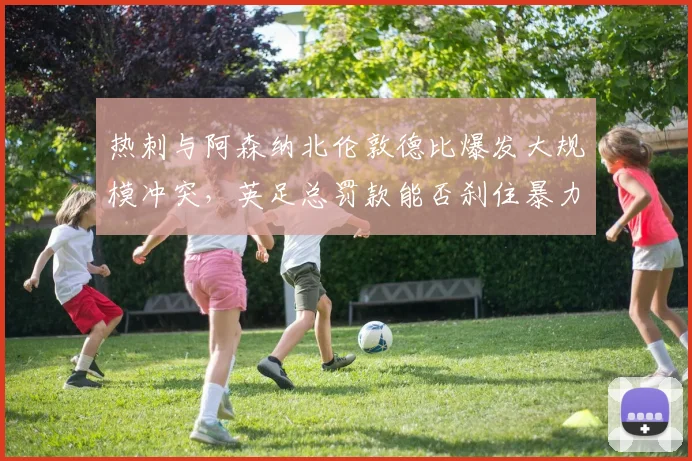 热刺与阿森纳北伦敦德比爆发大规模冲突，英足总罚款能否刹住暴力苗头？