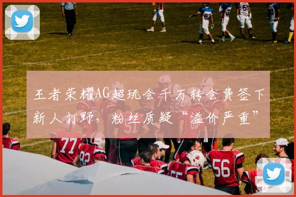 王者荣耀AG超玩会千万转会费签下新人打野，粉丝质疑“溢价严重”